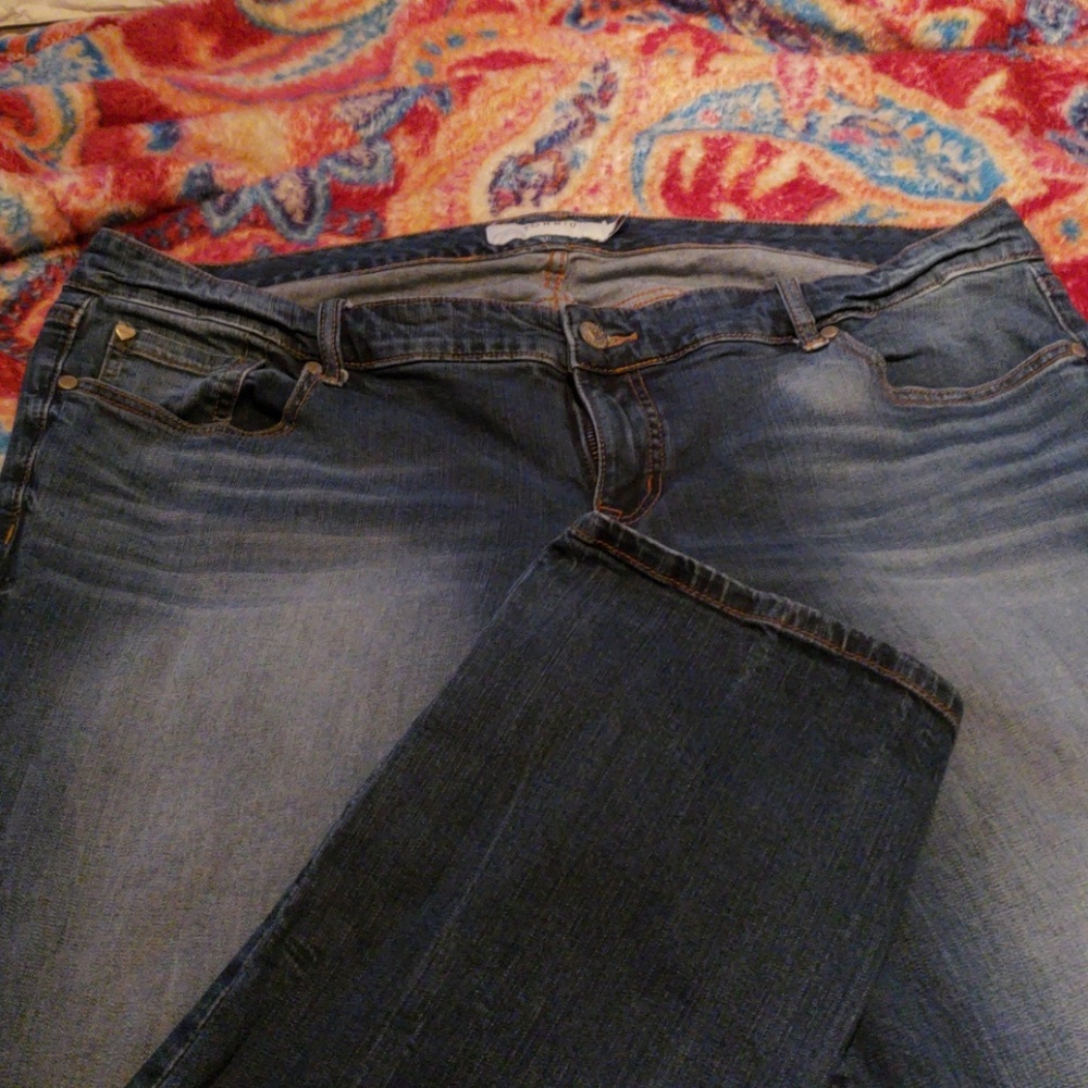 Torrid Skinny Jeans